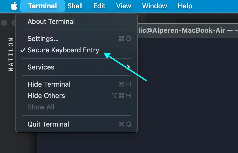 Secure Keyboard Entry Terminal